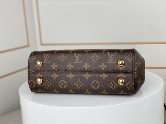 LV Cluny BB M46055/M46372 Monogram帆布大号手袋