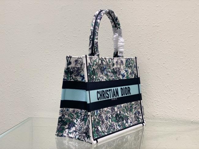 Dior 中号 Book Tote 手袋，Maria Grazia Chiuri设计，Constellation刺绣