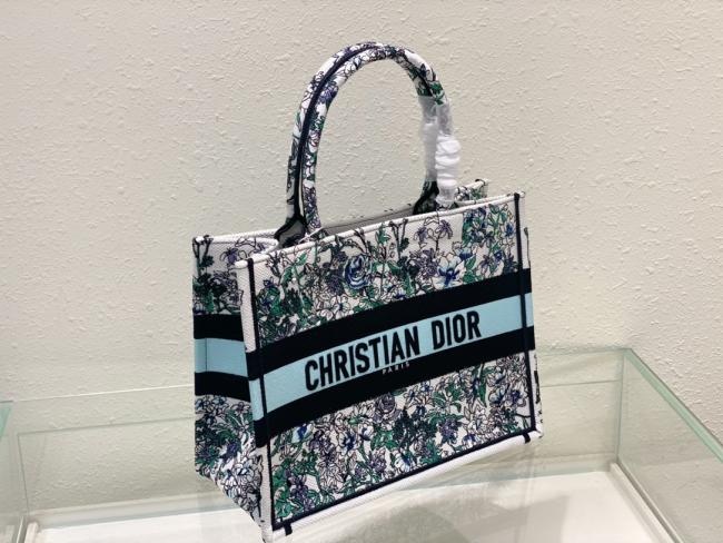 Dior 中号 Book Tote 手袋，Maria Grazia Chiuri设计，Constellation刺绣