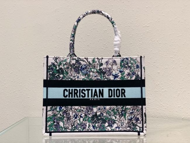 Dior 中号 Book Tote 手袋，Maria Grazia Chiuri设计，Constellation刺绣